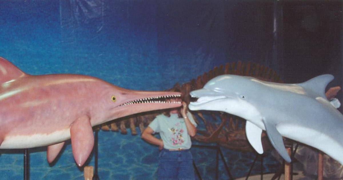 16 Fälle paralleler Evolution, bei denen ein und dasselbe Tier in verschiedenen Regionen der Welt auftrat