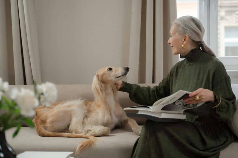 10 pflegeleichte Hunderassen, die perfekt für vielbeschäftigte Besitzer sind