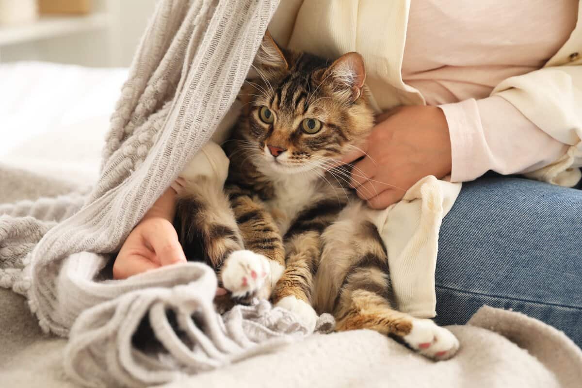 14 Verhaltensweisen von Haustieren, die Wissenschaftler weiterhin vor ein Rätsel stellen